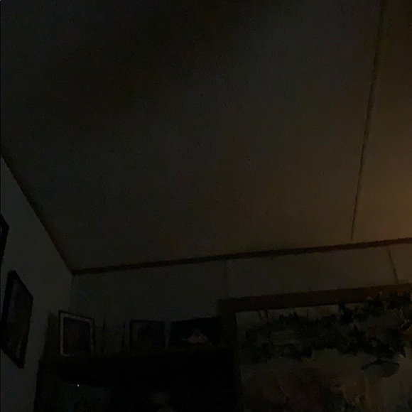 Meet your Posher, Erica - Picture 1 of 1